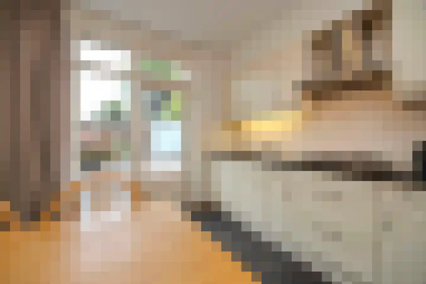Beukenlaan 18 Haaren thumbnail 16