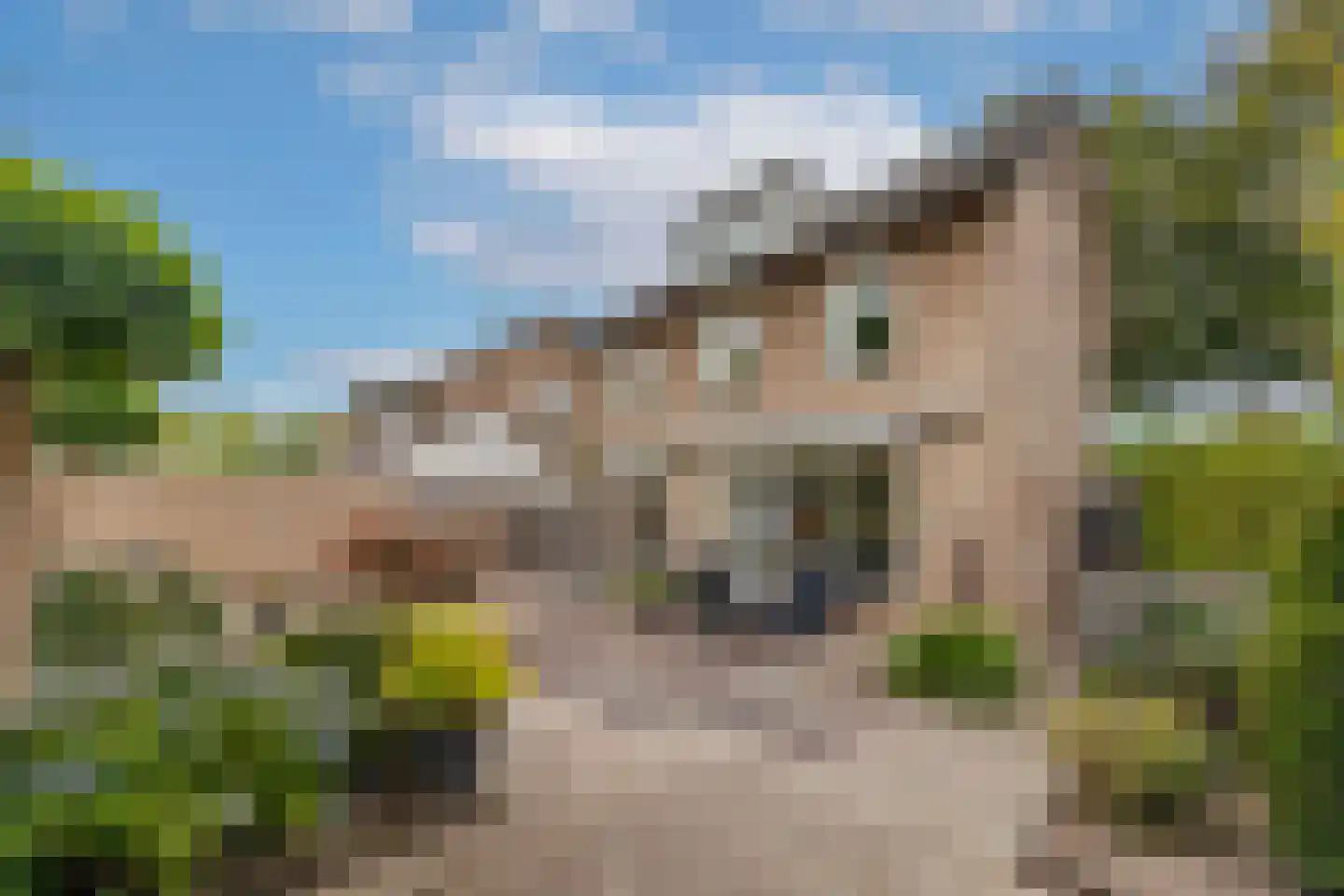 Beukenlaan 18 Haaren thumbnail 31