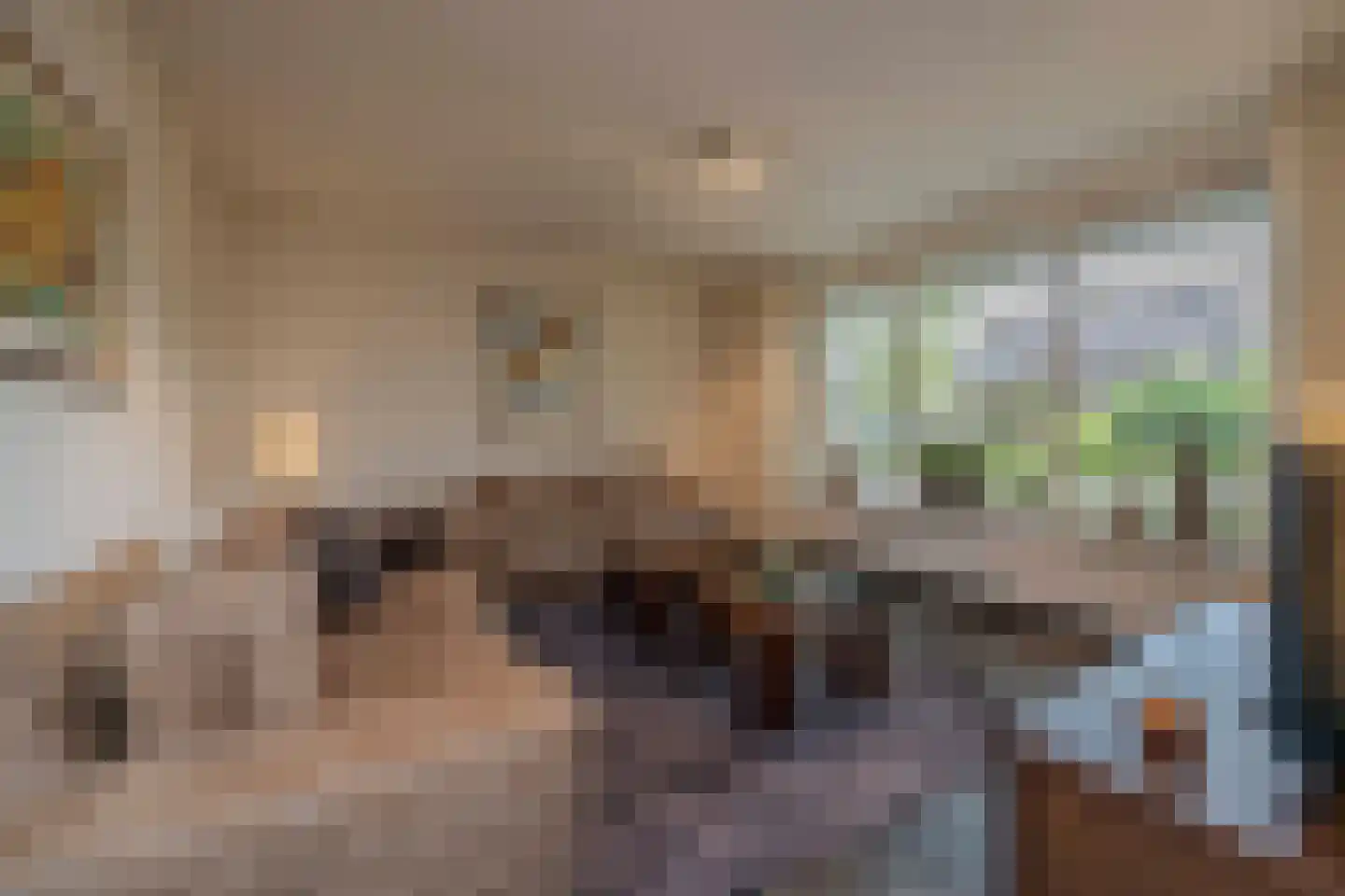 Beukenlaan 18 Haaren thumbnail 6