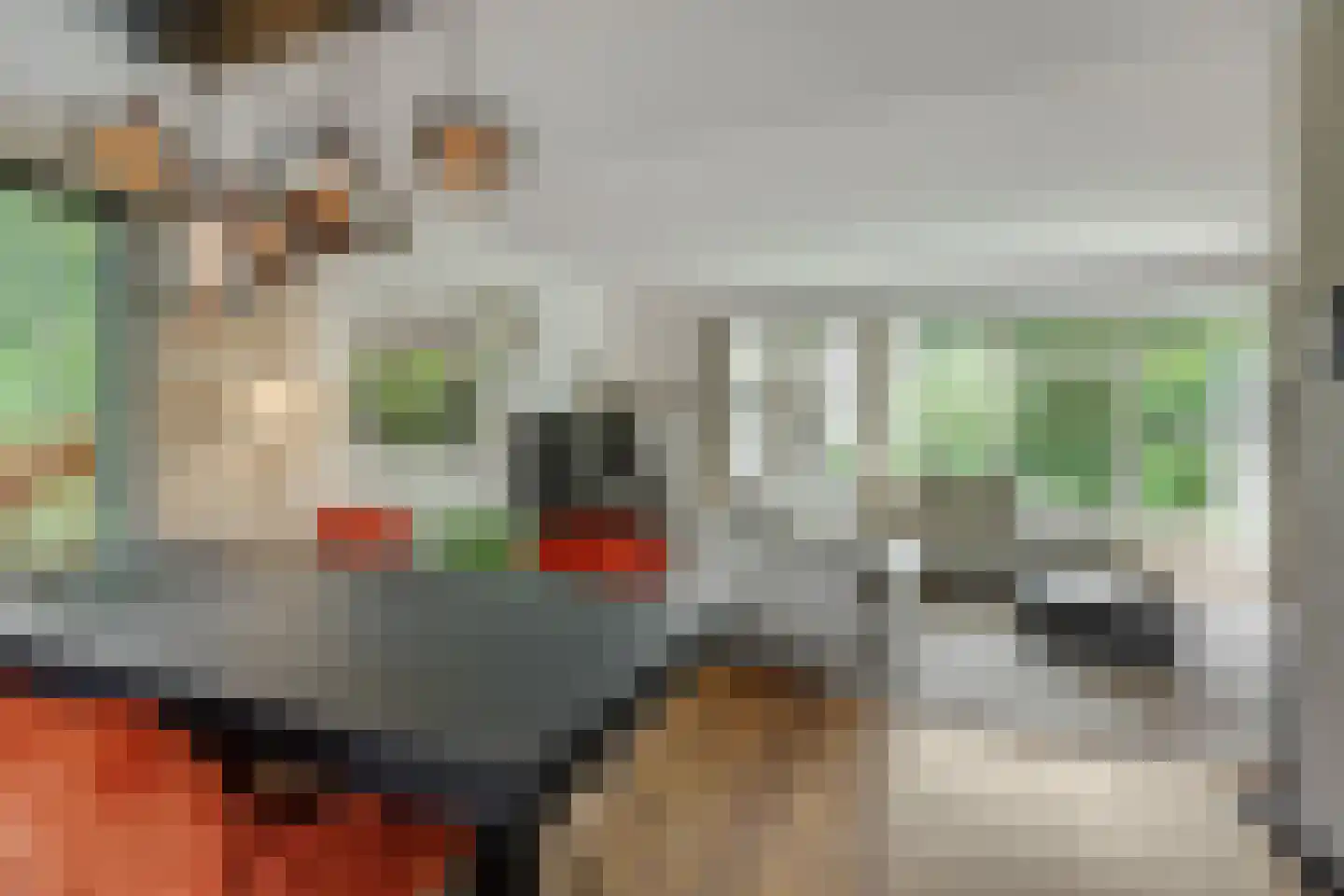 Beukenlaan 18 Heesch thumbnail 10