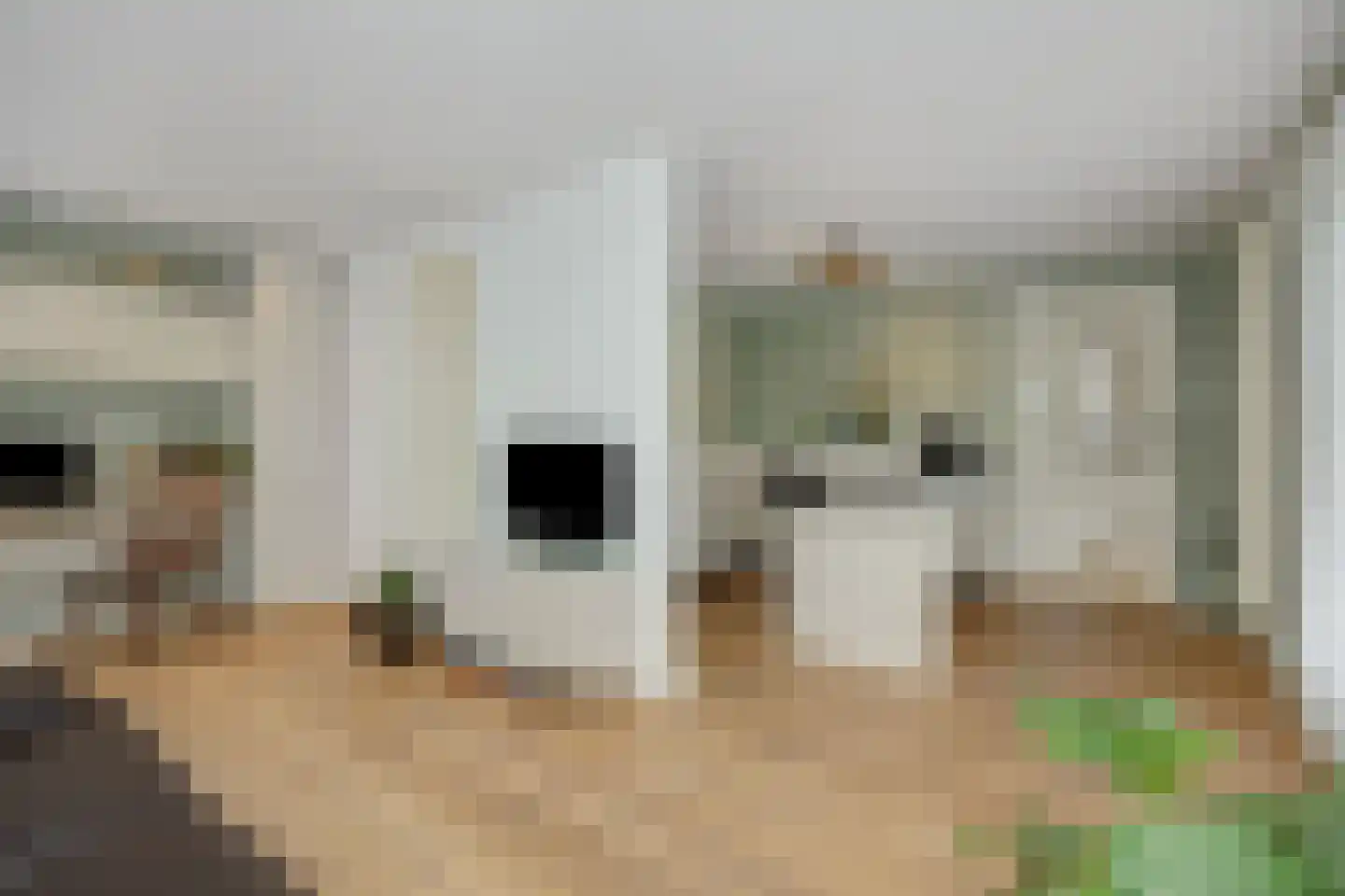 Beukenlaan 18 Heesch thumbnail 15