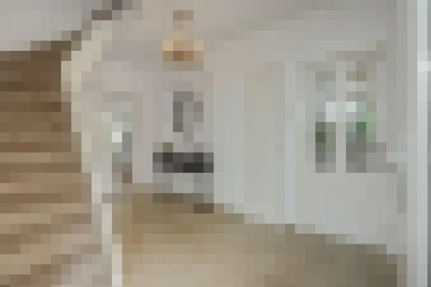 Beukenlaan 18 Heesch thumbnail 21