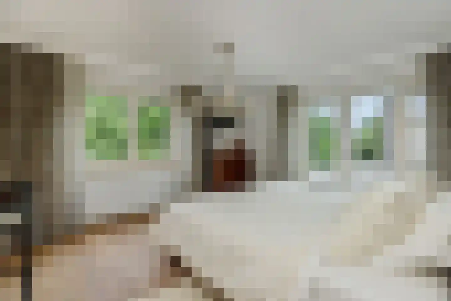Beukenlaan 18 Heesch thumbnail 26