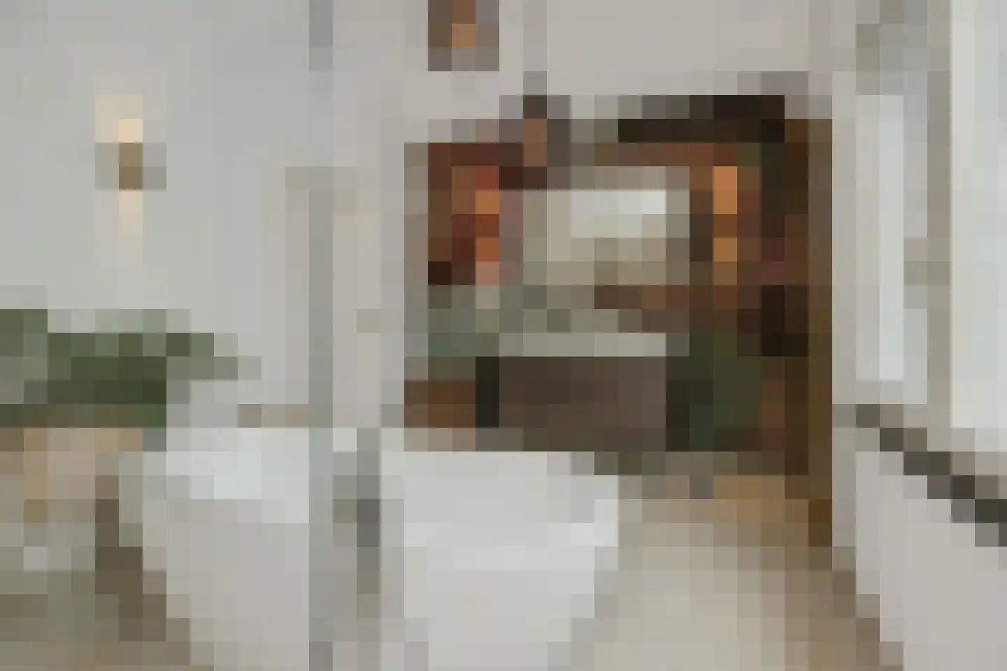 Beukenlaan 18 Heesch thumbnail 35