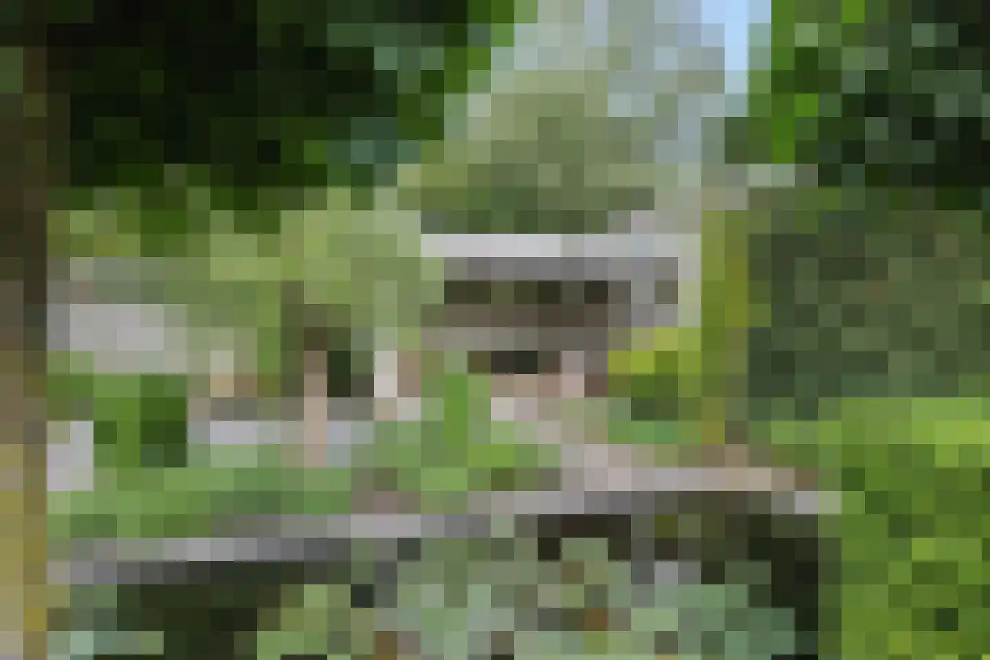 Beukenlaan 18 Heesch thumbnail 49