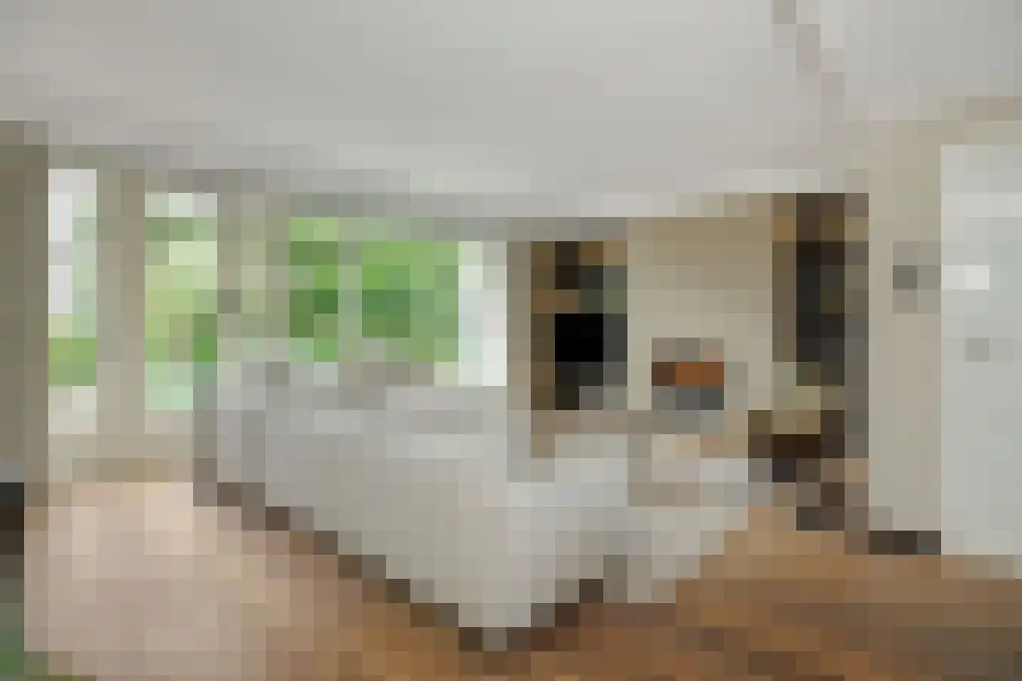 Beukenlaan 18 Heesch thumbnail 5