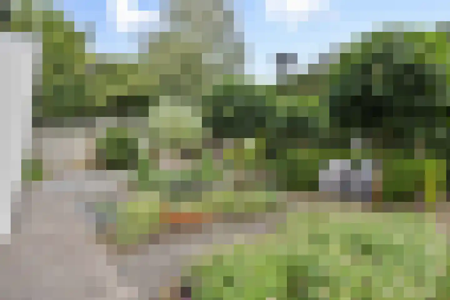 Beukenlaan 18 Heesch thumbnail 50