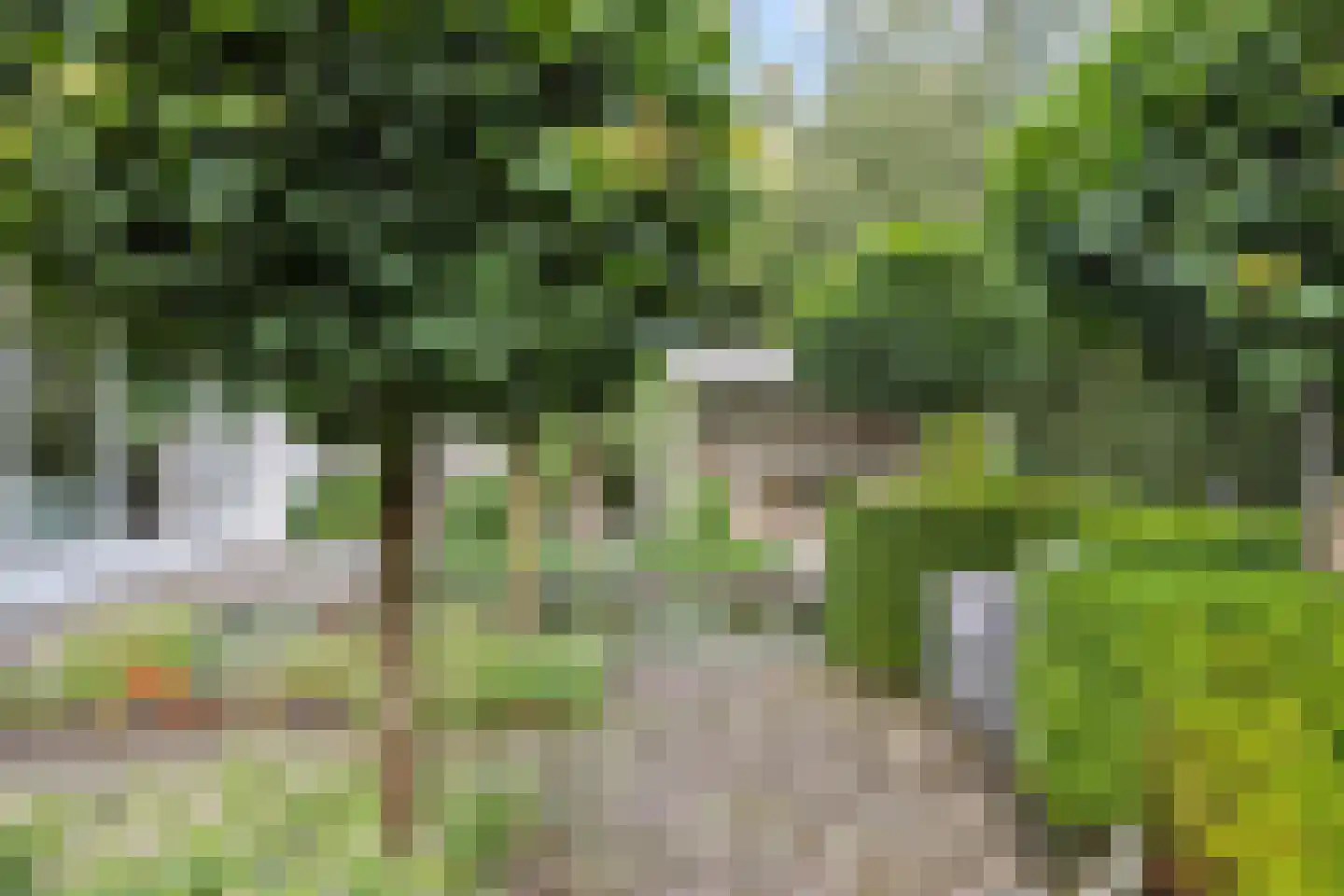 Beukenlaan 18 Heesch thumbnail 51