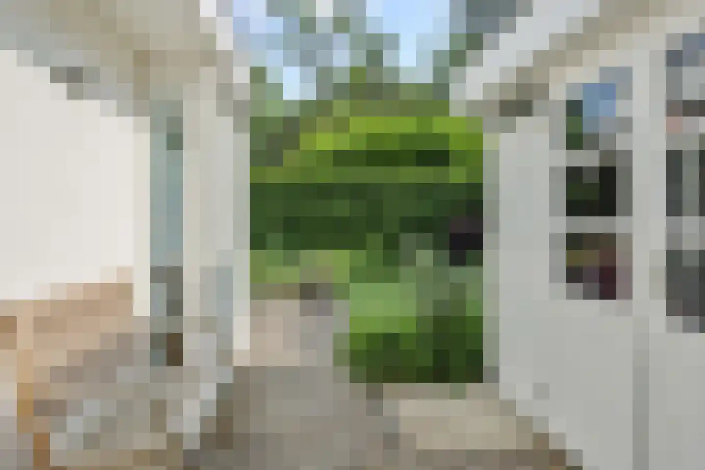 Beukenlaan 18 Heesch thumbnail 54