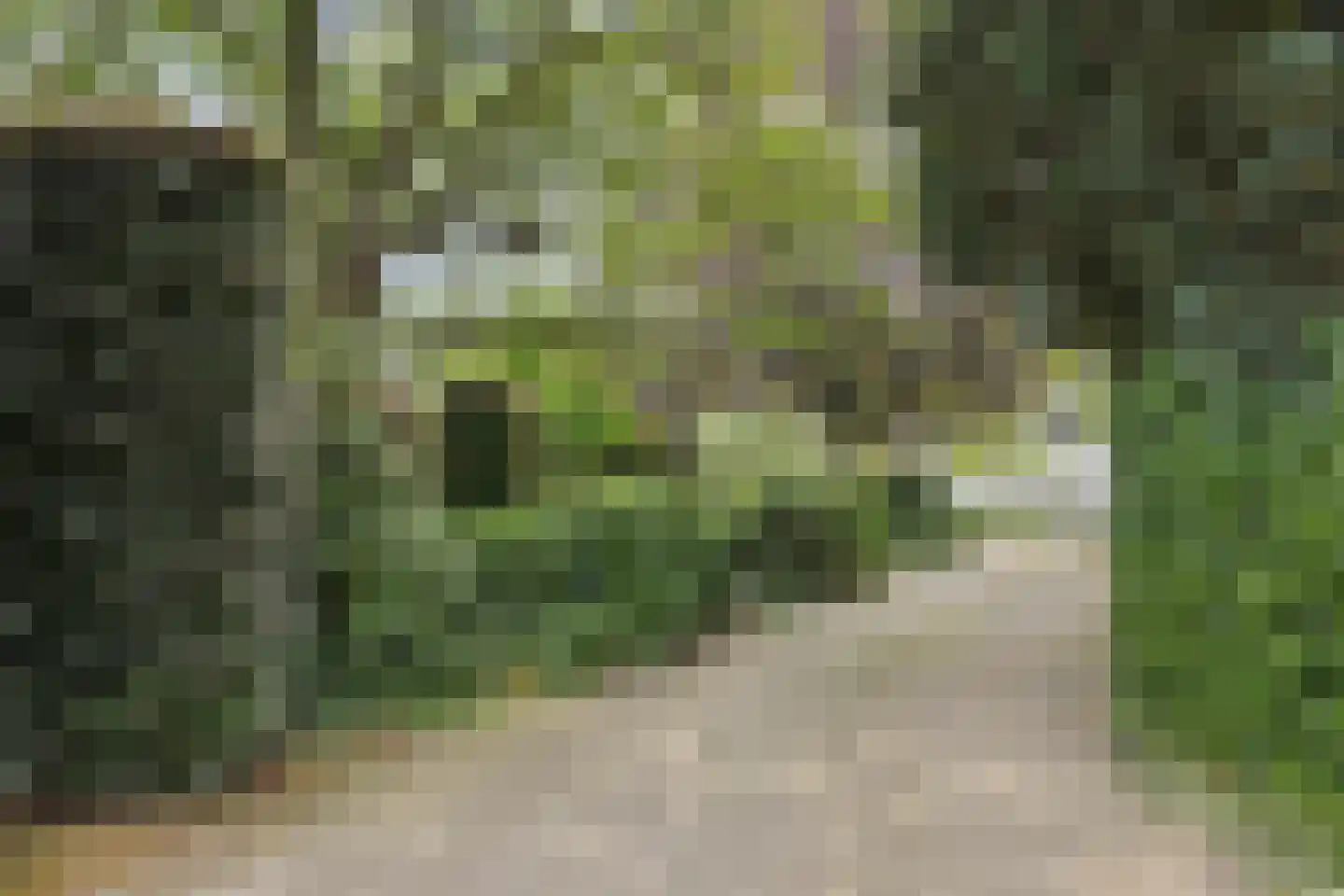 Beukenlaan 18 Heesch thumbnail 62