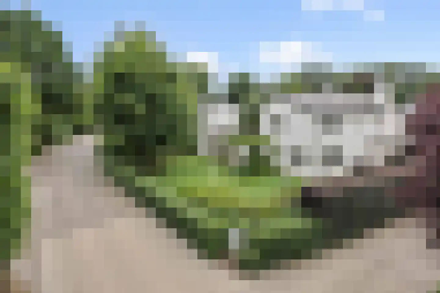 Beukenlaan 18 Heesch thumbnail 65