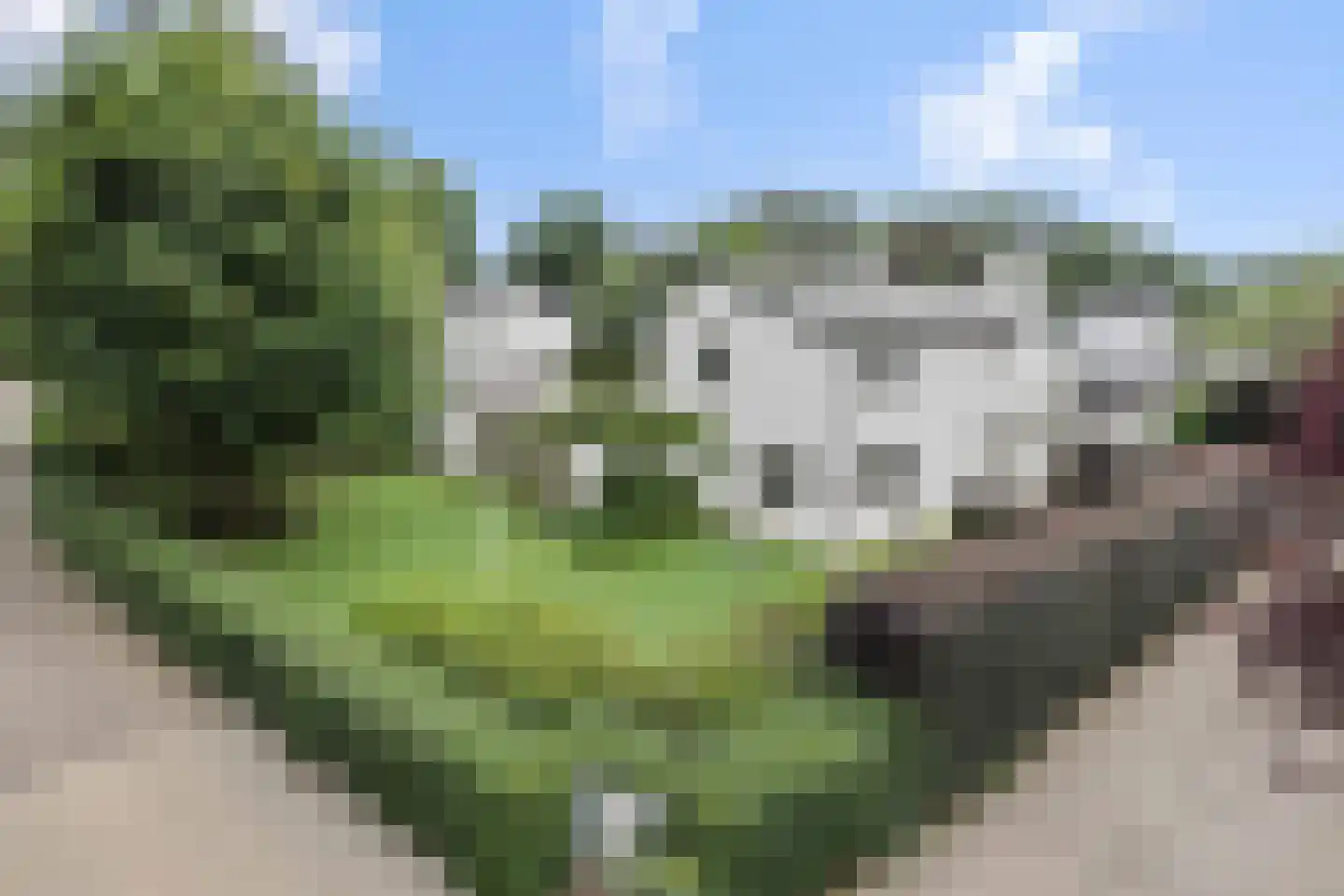 Beukenlaan 18 Heesch thumbnail 66