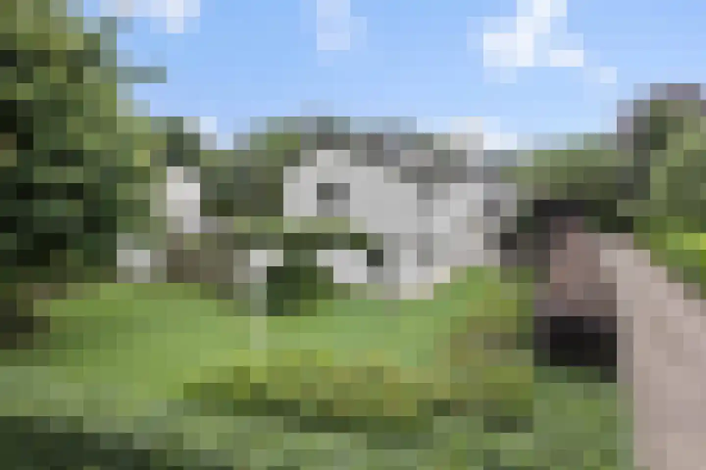 Beukenlaan 18 Heesch thumbnail 67