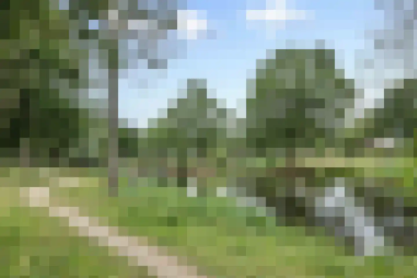 Beukenlaan 18 Heesch thumbnail 69