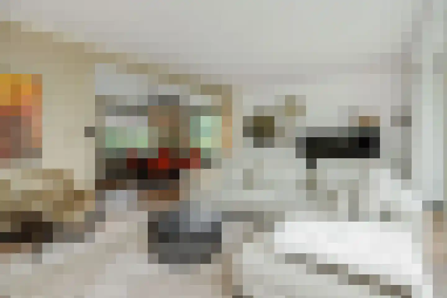 Beukenlaan 18 Heesch thumbnail 9
