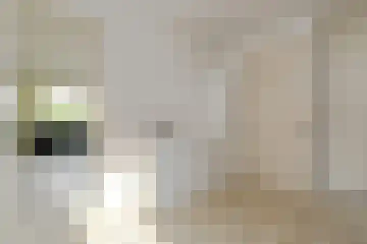 Beukenlaan 18 Leveroy thumbnail 12