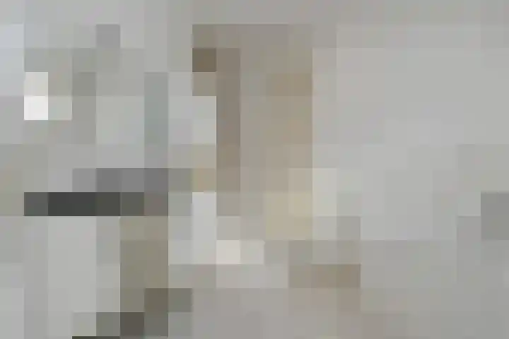 Beukenlaan 18 Leveroy thumbnail 17