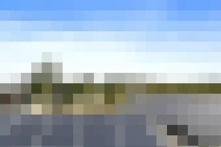 Beukenlaan 18 Leveroy thumbnail 30