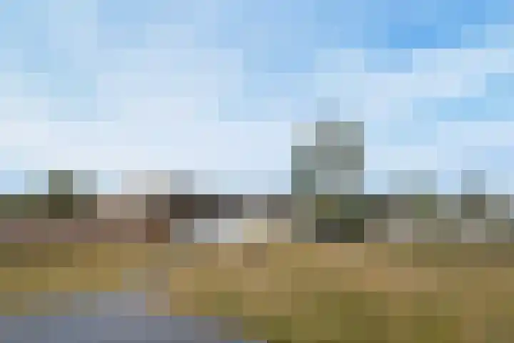 Beukenlaan 18 Leveroy thumbnail 34