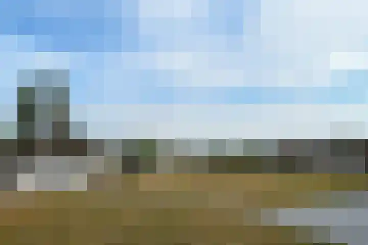 Beukenlaan 18 Leveroy thumbnail 35
