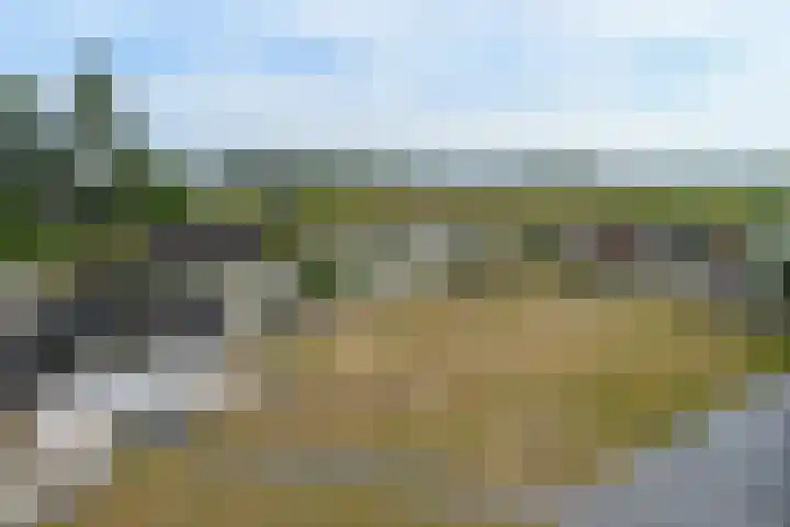 Beukenlaan 18 Leveroy thumbnail 36