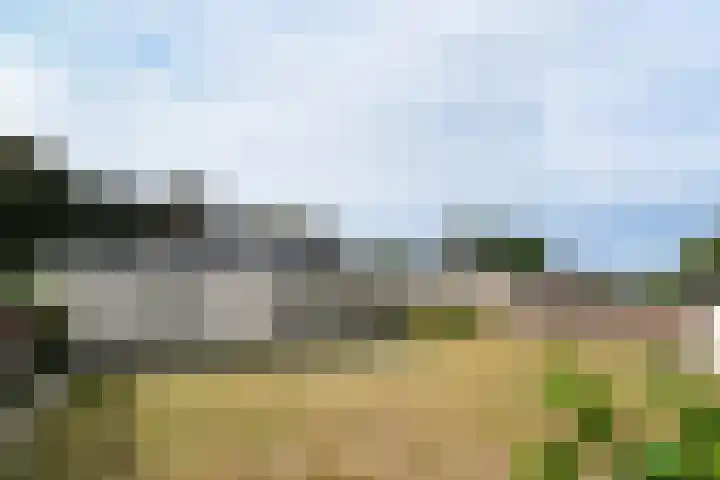 Beukenlaan 18 Leveroy thumbnail 37