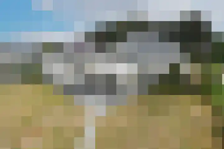 Beukenlaan 18 Leveroy thumbnail 39