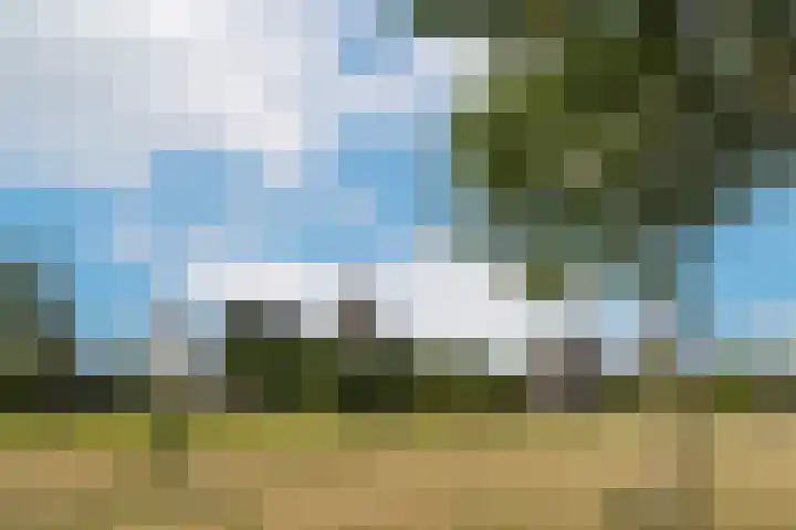 Beukenlaan 18 Leveroy thumbnail 40