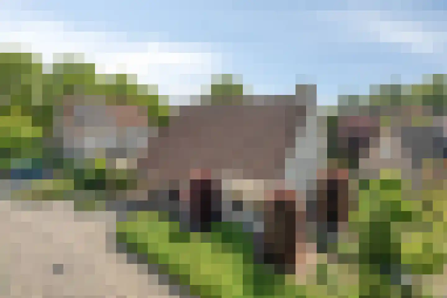 Beukenlaan 18 Sprang-Capelle