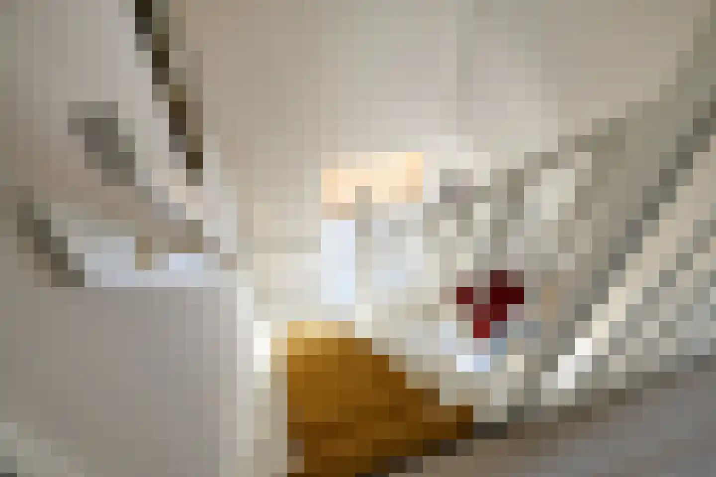 Beukenlaan 18 Sprang-Capelle thumbnail 21