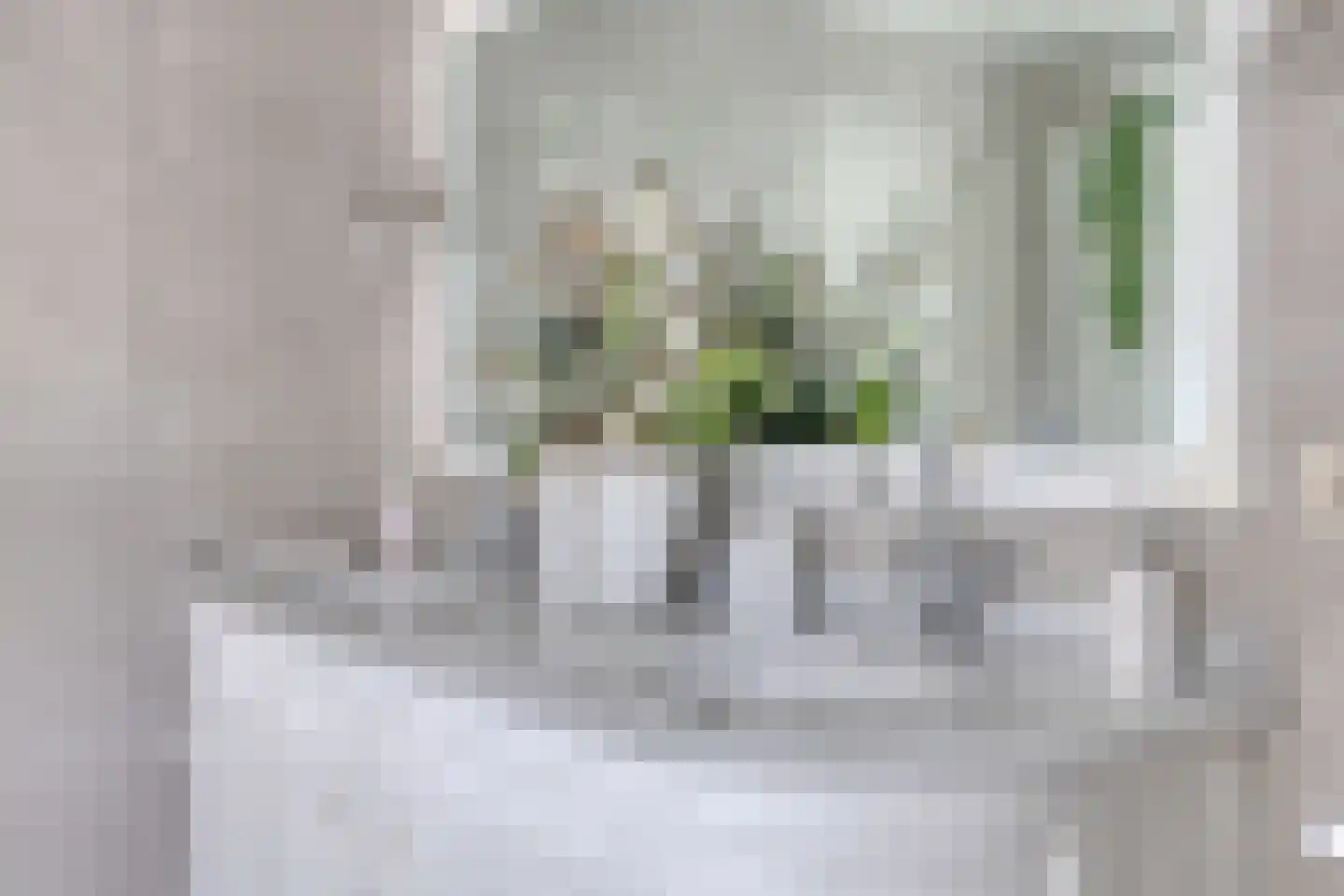 Beukenlaan 18 Sprang-Capelle thumbnail 30