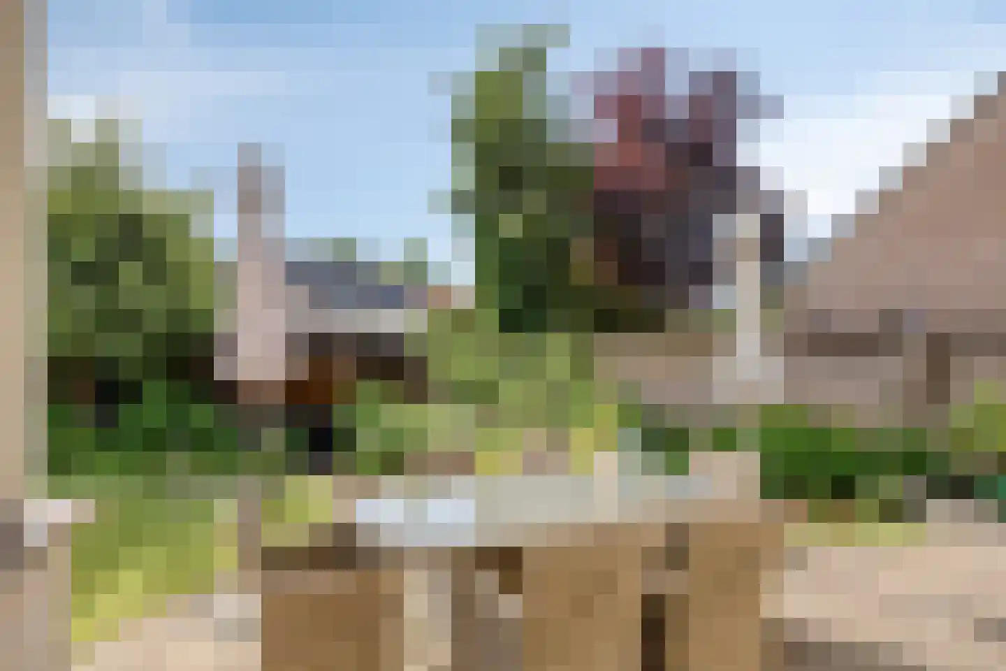 Beukenlaan 18 Sprang-Capelle thumbnail 37