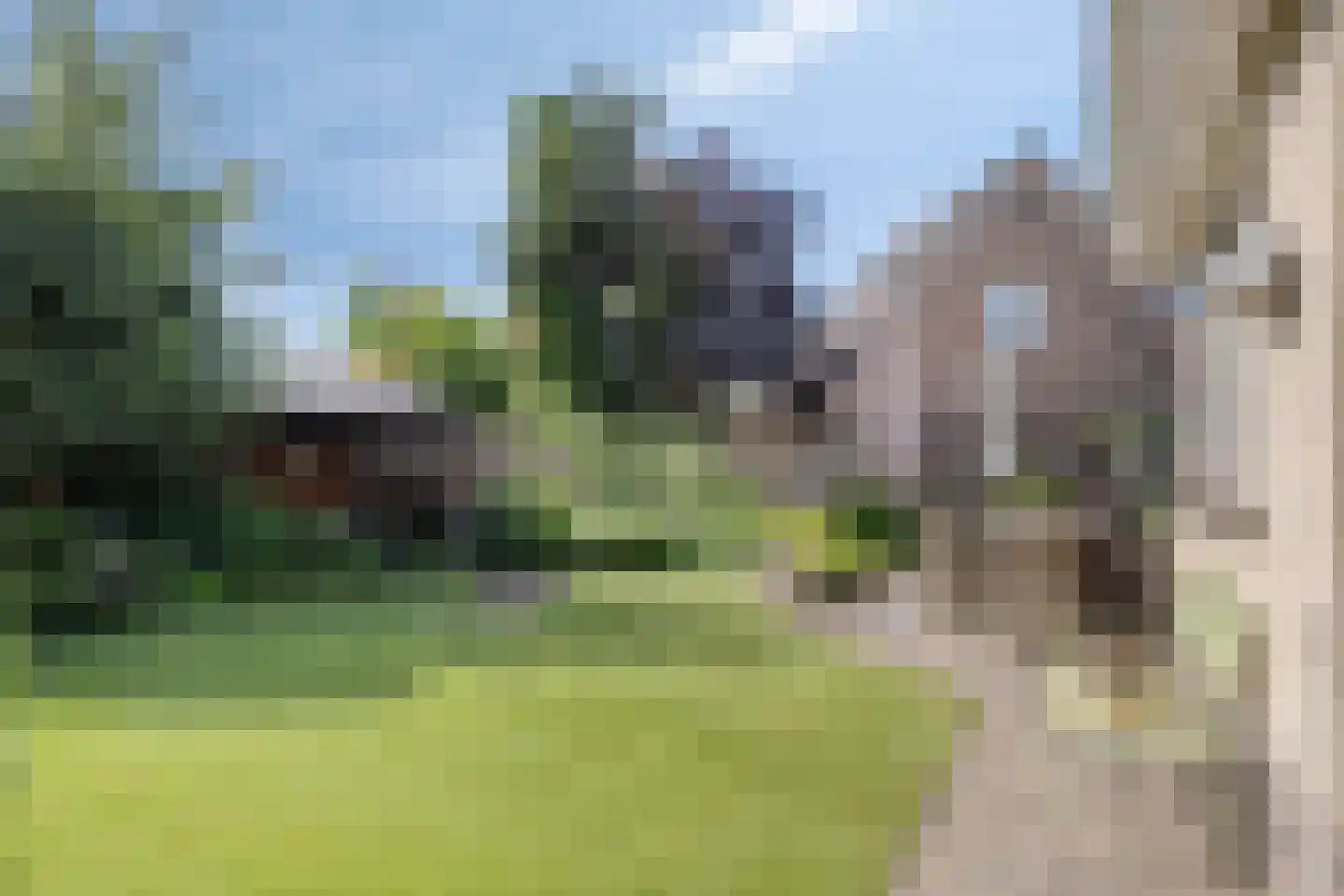 Beukenlaan 18 Sprang-Capelle thumbnail 41