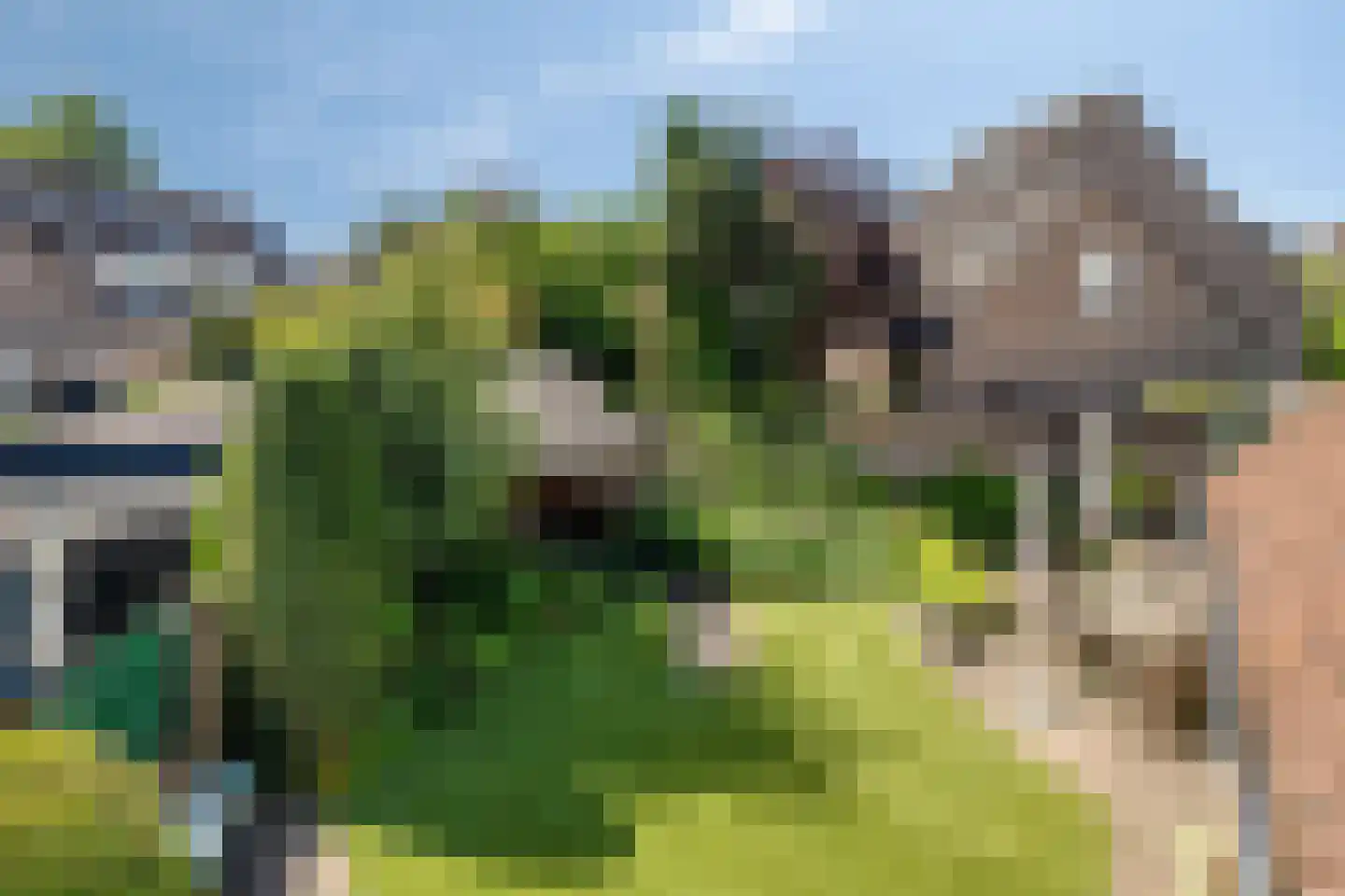 Beukenlaan 18 Sprang-Capelle thumbnail 46