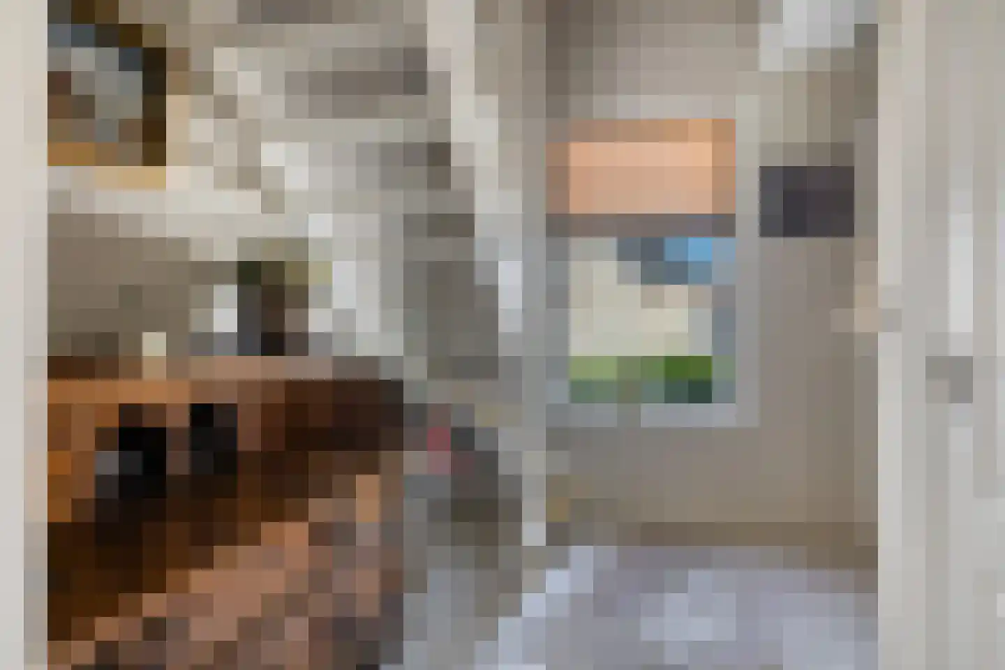 Beukenlaan 18 Sprang-Capelle thumbnail 6