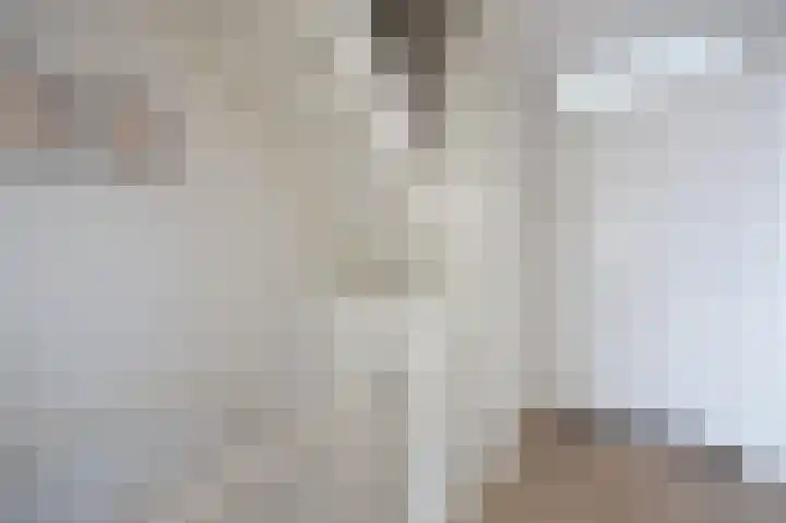 Beukenlaan 19 Etten-Leur thumbnail 14