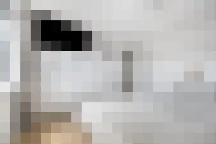 Beukenlaan 19 Etten-Leur thumbnail 16