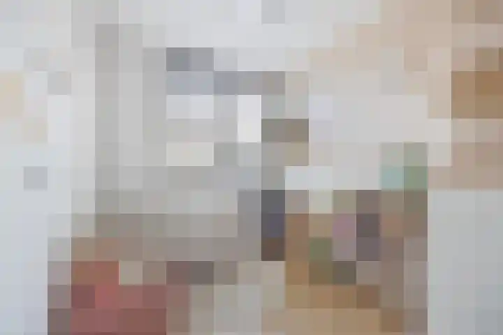 Beukenlaan 19 Etten-Leur thumbnail 20