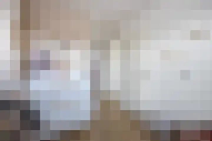 Beukenlaan 19 Etten-Leur thumbnail 21