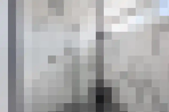 Beukenlaan 19 Etten-Leur thumbnail 23