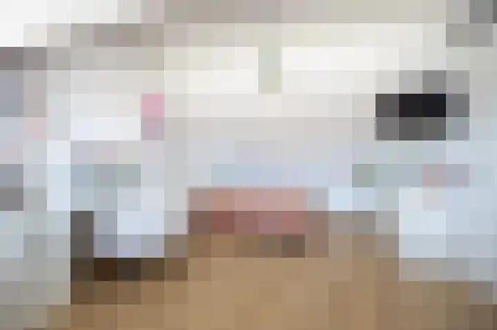 Beukenlaan 19 Etten-Leur thumbnail 26