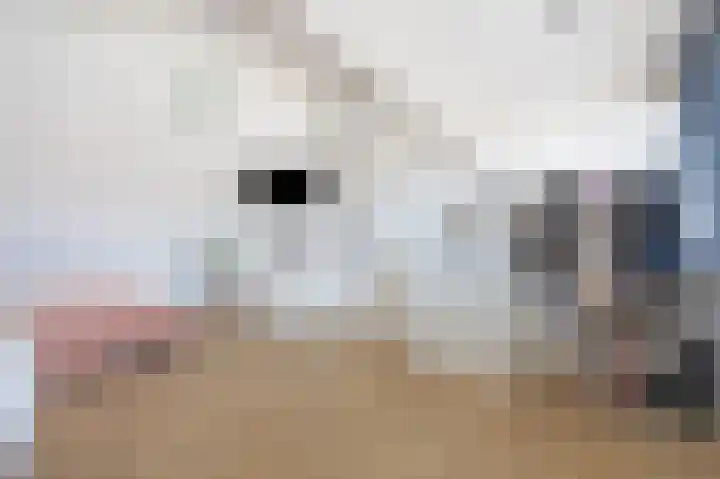Beukenlaan 19 Etten-Leur thumbnail 27
