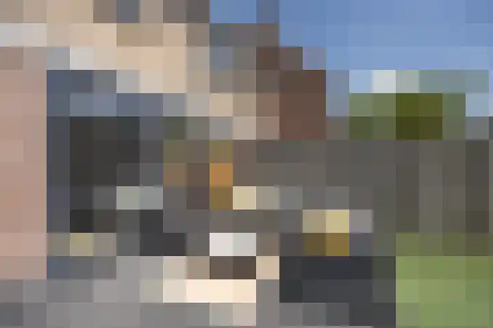 Beukenlaan 19 Etten-Leur thumbnail 32