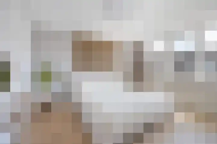 Beukenlaan 19 Etten-Leur thumbnail 4
