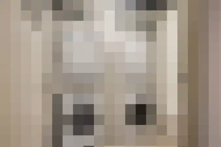 Beukenlaan 2 A 1 Ede thumbnail 19