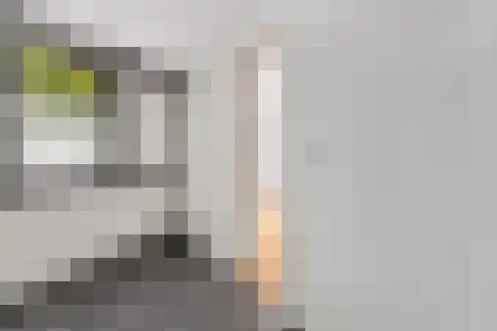 Beukenlaan 2 A 1 Ede thumbnail 7