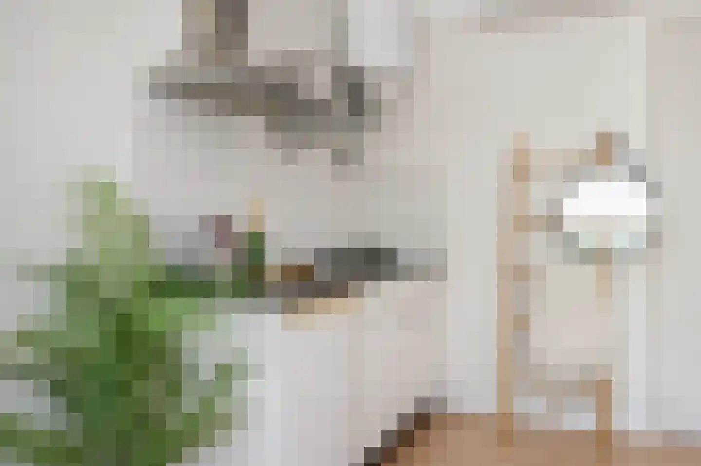 Beukenlaan 2 A 2 Ede thumbnail 11