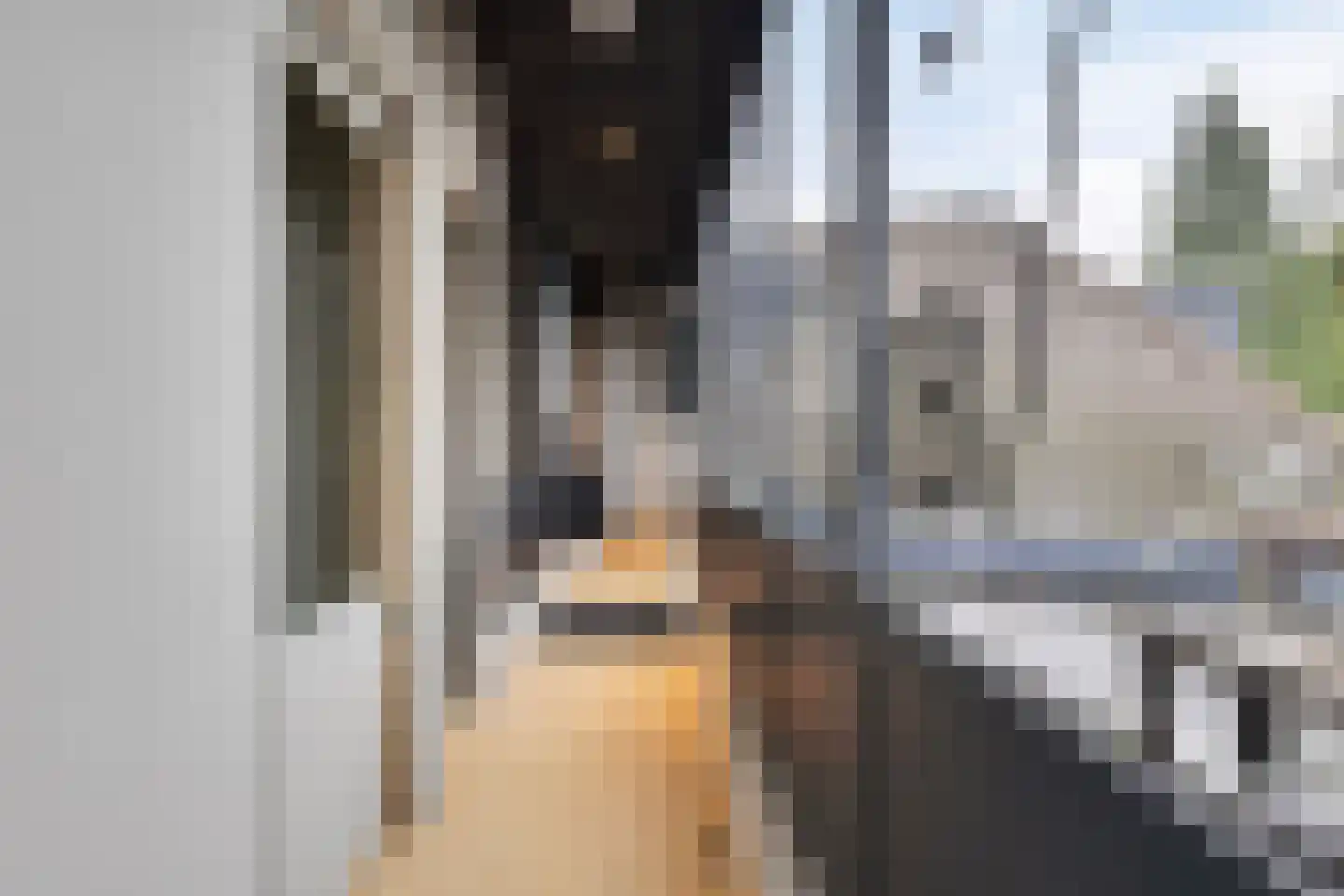 Beukenlaan 2 A 2 Ede thumbnail 15