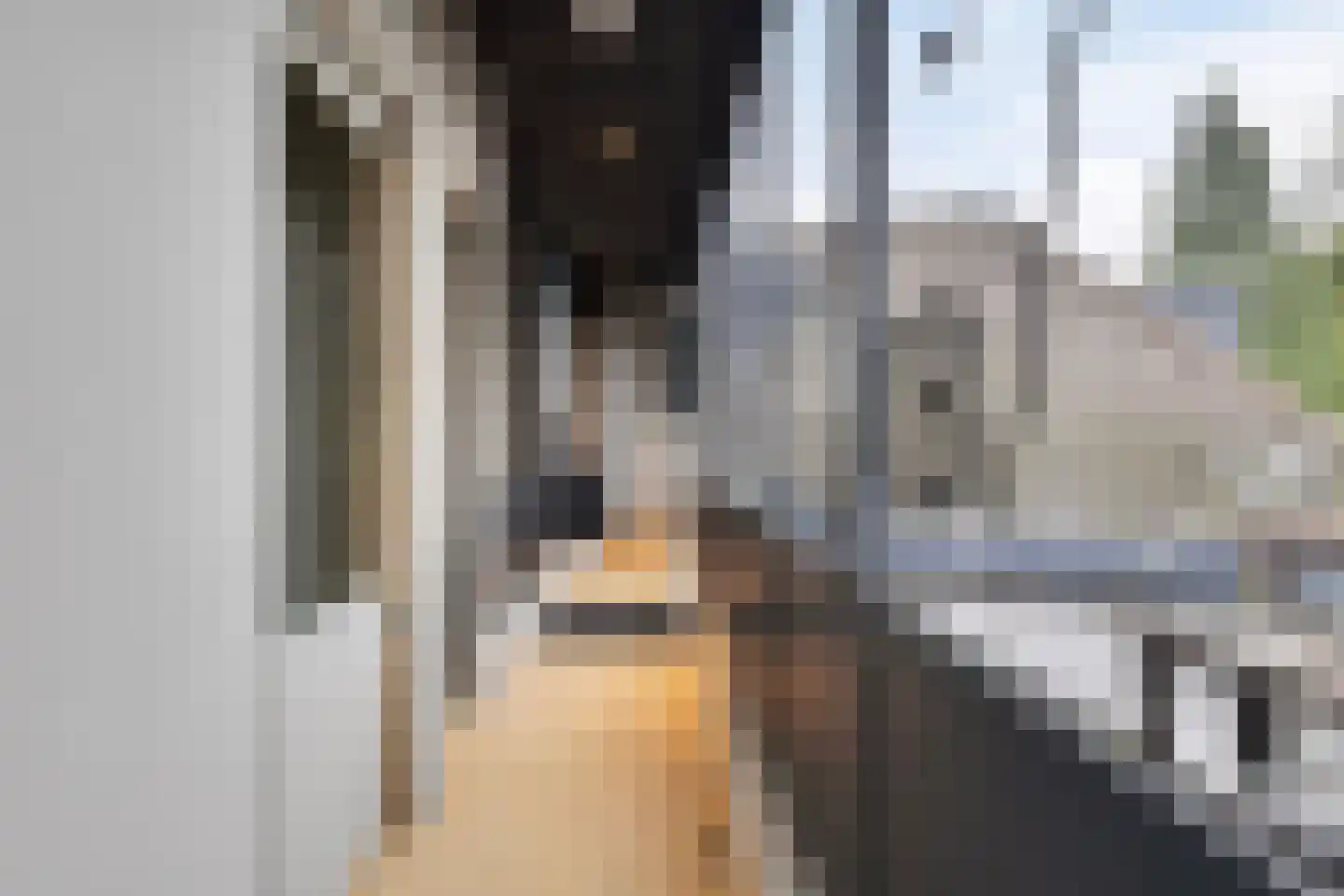 Beukenlaan 2 A 2 Ede thumbnail 15