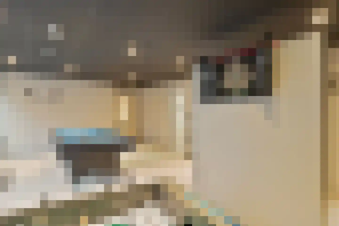 Beukenlaan 2 A 2 Ede thumbnail 18